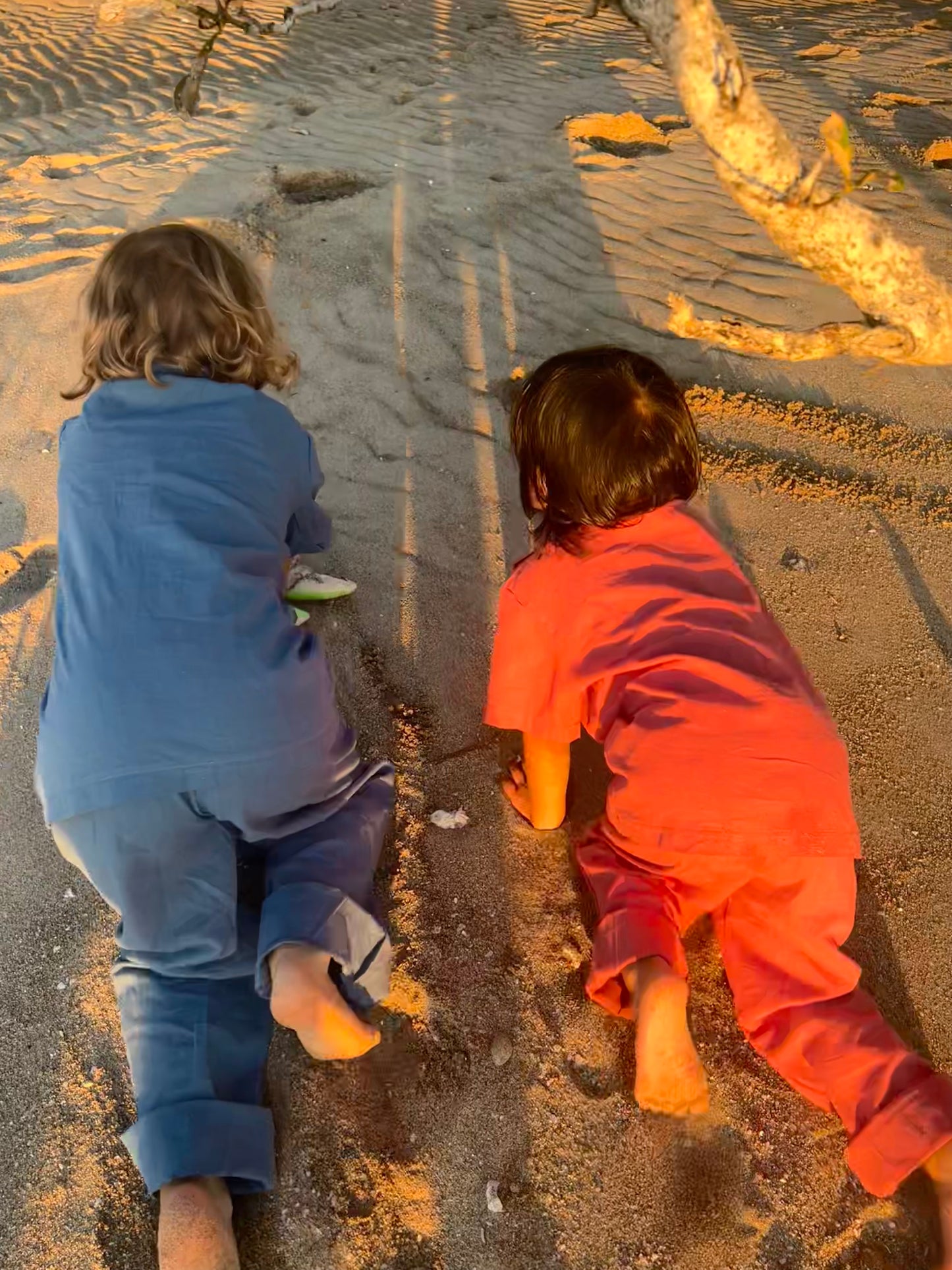 Morning Snuggles (Rose)